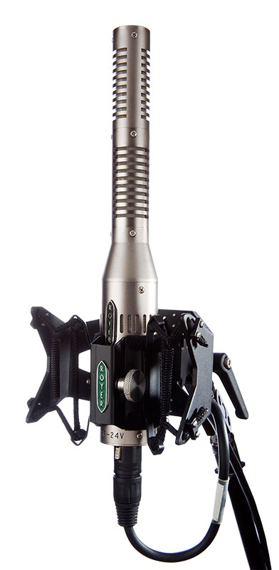Royer SF-24V in a Sling-Shock RSM-SS24 shock mount